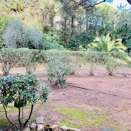 Spacieux ,lumineux ,proche Des , Piscine Apartment *